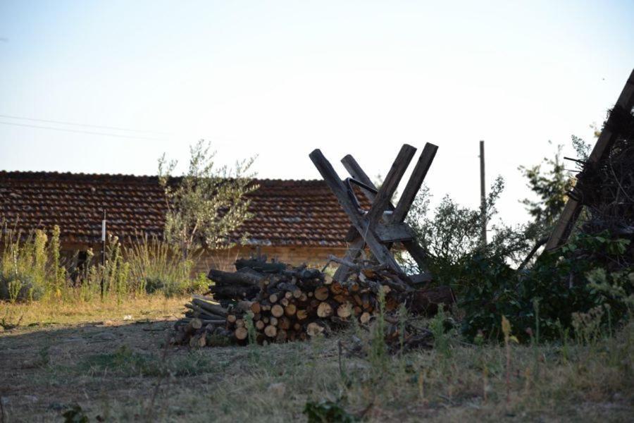 Perugia Farmhouse エクステリア 写真