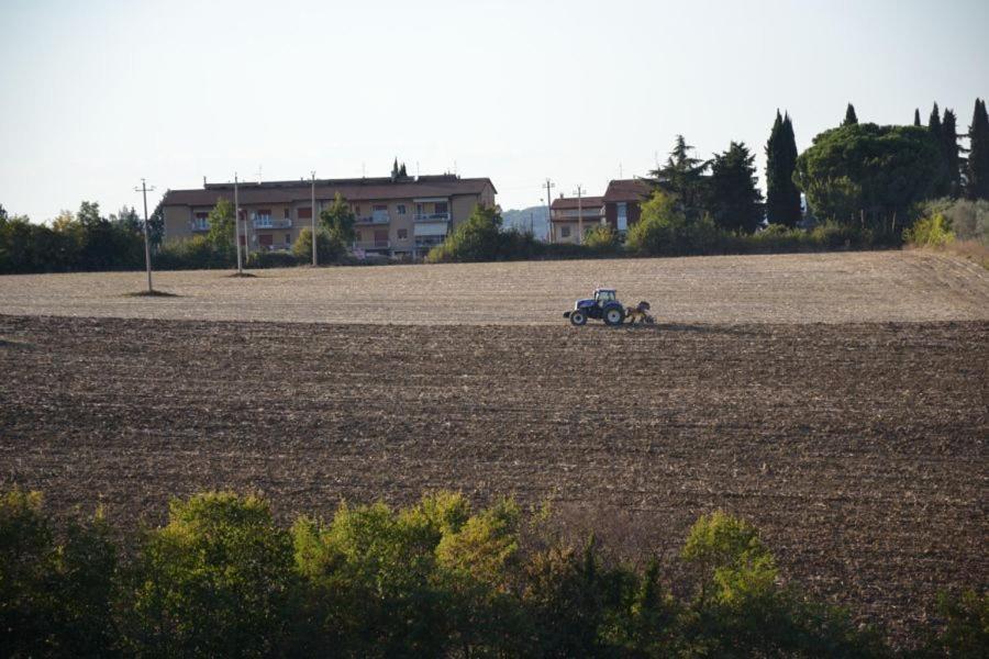 Perugia Farmhouse エクステリア 写真
